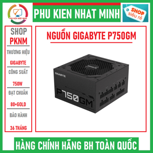 Nguồn - Power Supply Gigabyte GP-P750GM
