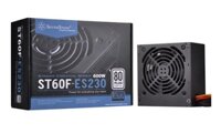 Nguồn SilverStone Essential Series SST ST60F ES230 V1.0 600W (80 Plus Standard/Màu Đen)