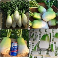 Nguyên gói 15 Gram Hạt giống củ cải Hàn Quốc F1_ Nảy 99%