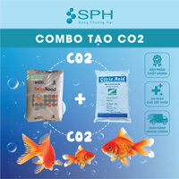 Nguyên liệu chế CO2 cho bể cá - 1kg baking soda và 1kg bột chanh - axit citric nhập khẩu giá tốt