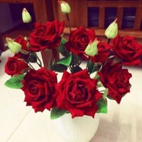 Nguyên liệu làm hoa cành