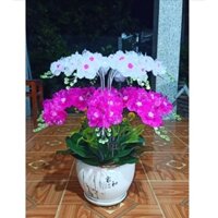 Nguyên liệu tự làm mẫu hoa pha lê 14 cành 6 hoa 7 nụ(không chậu)