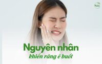 Nguyên Nhân Khiến Răng Ê Buốt, Viêm Nướu Và Giải Pháp Từ Kem Đánh Răng Thảo Dược