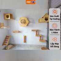 Nhà cho mèo treo tường PETTO nhà mèo mô hình leo trèo ĐỘC ĐÁO nhiều kiểu dáng kèm nhiều đồ chơi GIẢM STRESS CZ002