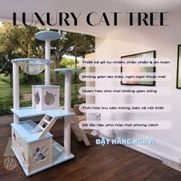 Nhà gỗ cho mèo, nhà cây cho mèo gỗ thông tự nhiên, sơn màu kute, cattree tower trụ cho mèo