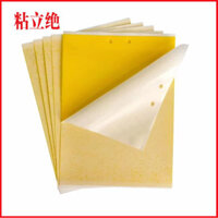 Nhà kính 2 mặt bảng dính bảng bẫy côn trùng bảng ruồi dính bảng muỗi dính bảng màu vàng bảng sau sâ