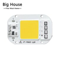 Nhà Lớn AC 220V 20 W/30 W/50 W Miễn Phí Driver Cao cấp Chip LED COB đèn Nguồn