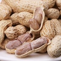 Nhà máy đậu phộng Longyan cung cấp trực tiếp, tỏi rang ướt 500g, hương vị năm gia vị với vỏ, sấy khô trắng