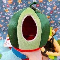 Nhà ngủ bông quả dưa hấu cho Sóc Bông, Sóc Bay Úc, Sóc Đất...