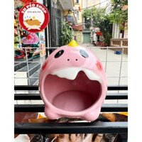 NHÀ NGỦ SỨ SÚN RĂNG CHO HAMSTER