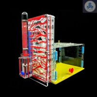 Nhà Nuôi Kiến Bằng Acrylic B130 Làm Quà Tặng Sinh Nhật DIY