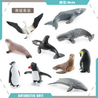 ★Nhà sản xuất Bán buôn★Mini Nam Cực Bộ Động Vật Biển Chim Cánh Cụt Xanh Cá Voi Con Dấu Tin Vào Thiên Đường Cói Cát Trang Trí Bàn Đồ Trang Trí