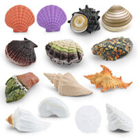 ★Nhà sản xuất Bán buôn★Mô Phỏng Vỏ Hoa Conch Hara Scallop Hàu Rùa Chân Xương Ốc Đời Biển Mẫu Vỏ Trang Trí Đồ Trang Trí