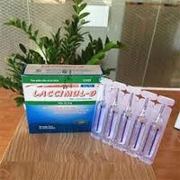 [Nhà thuốc 844] Laccimul D- Men Vi Sinh Dạng Nước- Hộp 20 Ống X 5ml