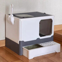 Nhà vệ sinh cho mèo