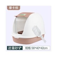 Nhà vệ sinh cho mèo