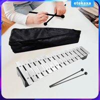 Nhạc cụ âm nhạc Xylophone di động 15 Note Glockenspiel chuyên nghiệp