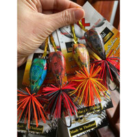 Nhái nhảy KK thái lan