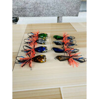 nhái nhảy tam giác Thái Lan