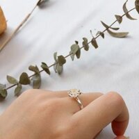 Nhẫn bạc hoa súng