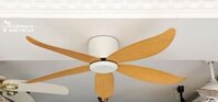 Nhân bản từ Quạt trần cổ ngắn QT009