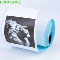Nhãn dán máy in nhiệt Mini ECHOEDGE 6 cuộn, Giấy dán máy in nhiều màu tự dính, Nhãn dán gói DIY chống dầu dễ sử dụng Máy ảnh tức thì cho trẻ em