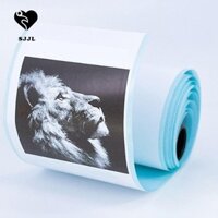 Nhãn dán máy in nhiệt Mini SJJL 6 cuộn, Giấy dán máy in nhiều màu dễ sử dụng, Nhãn dán đóng gói chống dầu tự dính chống thấm nước di động