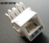 Nhân điện thoại cat3 RJ11 AMP