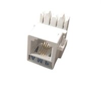 Nhân điện thoại cat3 RJ11 AMP