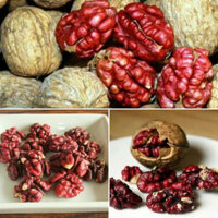 NHÂN HẠT ÓC CHÓ ĐỎ NHẬP KHẨU MỸ Trọng lượng 500gr