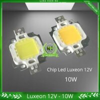 Nhân Led /Chip Led 12V DC - 10W