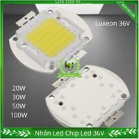 Nhân Led Chip Led 36V DC (20W 30W 50W 100W ) đủ công suất