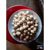 Nhân macca rang củi