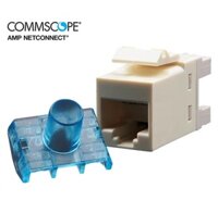 Nhân mạng cat5e AMP/Commscope (1375191-1)