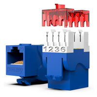 Nhân mạng CAT6 AMPCOM Standard 180° -  AC6208BU