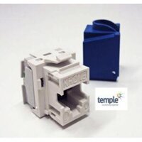 Nhân mạng cat6 chính hãng Krone giá tốt nhất Hà Nội