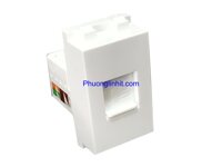 Nhân Mạng Cat6 Modular Jack Rj45, chuẩn Wide lắp mặt Panasonic