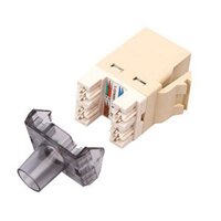 Nhân mạng Modular jack RJ45 Commscope Cat6