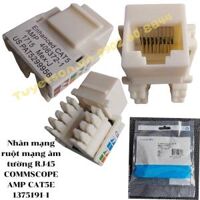 Nhân mạng ruột mạng âm tường RJ45 COMMSCOPE AMP CAT5E 1375191-1