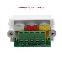 Nhân ổ cắm audio 3 Jack hoa sen P37B