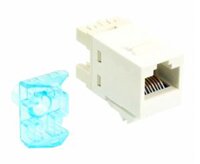 Nhân Ổ Cắm mạng Cat5 AMP/COMMSCOPE Cao Cấp