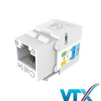 Nhân ổ cắm mạng Cat5e COMMSCOPE_AMP – Modular Jack Cat5e RJ45