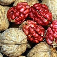 Nhân óc chó đỏ tách vỏ 💥 CAO CẤP 💥 Sản phẩm nhập khẩu Mỹ  loại 500gr