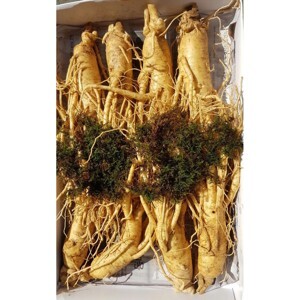 Nhân sâm hàn quốc 6 củ 1 kg