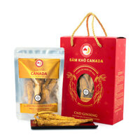Nhân Sâm khô nguyên củ Canada (Medium – Túi 100g)