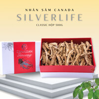 Nhân sâm khô SilverLife Classic - Nhân sâm Canada nhập khẩu chính hãng loại củ vừa hộp 500g