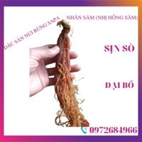 NHÂN SÂM ( NHỊ HỒNG SÂM) LOẠI SIÊU VIP 55gr/củ ( 18 củ/kg) dẻo thơm ngon dễ ăn bổ dưỡng tăng cường sức khỏE