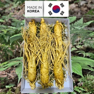 Nhân sâm Tươi Hàn Quốc 4 củ/kg