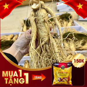 Nhân sâm Tươi Hàn Quốc 4 củ/kg