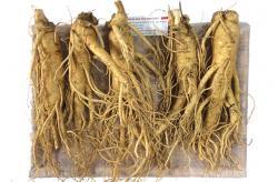 Nhân Sâm Tươi Hàn Quốc 5 củ/kg